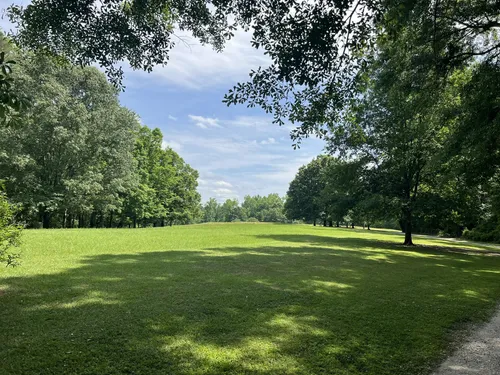 Lush green park under blue sky