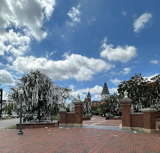 Toomer's Corner covered in toilet paper